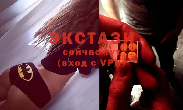 эйфоретик Аркадак