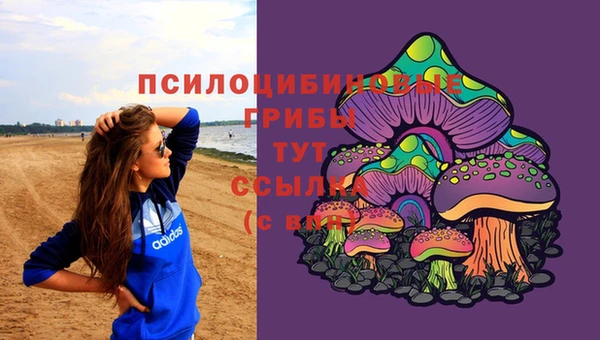 эйфоретик Аркадак