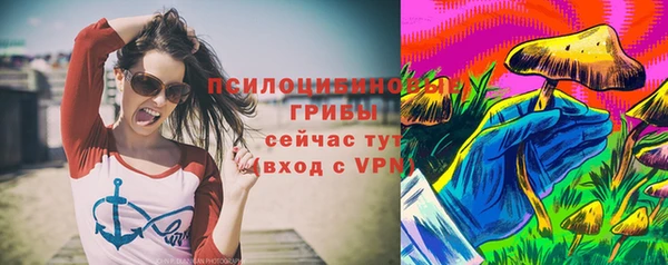 apvp Балахна