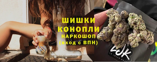 шишки Балабаново