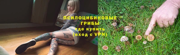 синтетический гашиш Арсеньев