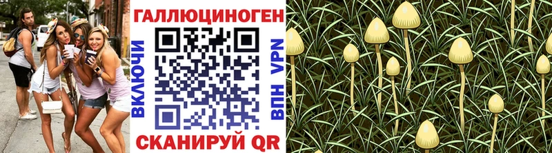 Псилоцибиновые грибы ЛСД  Купить где  Славянск-на-Кубани 
